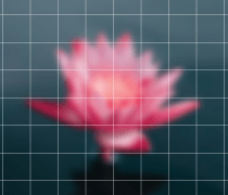 FHD (Full HD, 1080p)