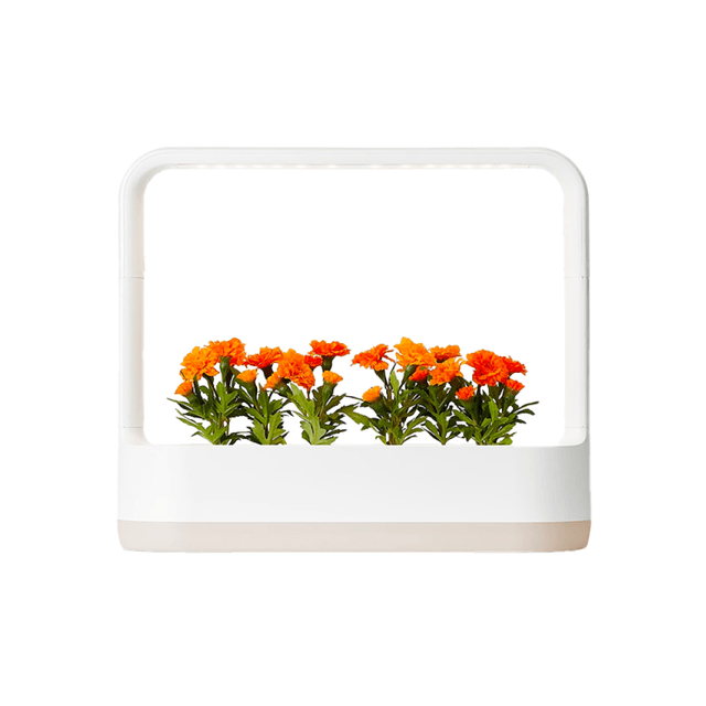 LG_식물재배기_틔운미니_L023E1P