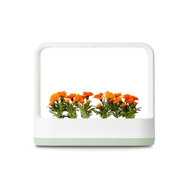 LG_식물재배기_틔운미니_L023M1P