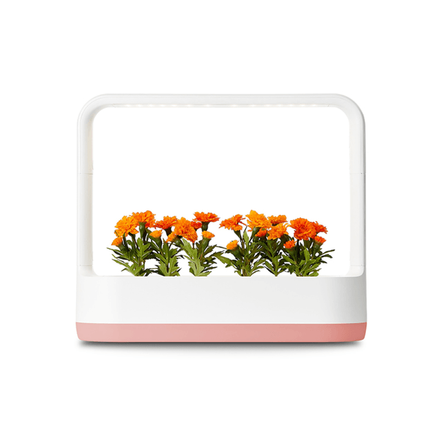 LG_식물재배기_틔운미니_L023P1P