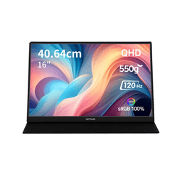 빅트랙 QHD IPS 120Hz 휴대용 모니터, 40.64cm, 160PM02