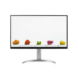 LG 울트라 HD 모니터 32인치