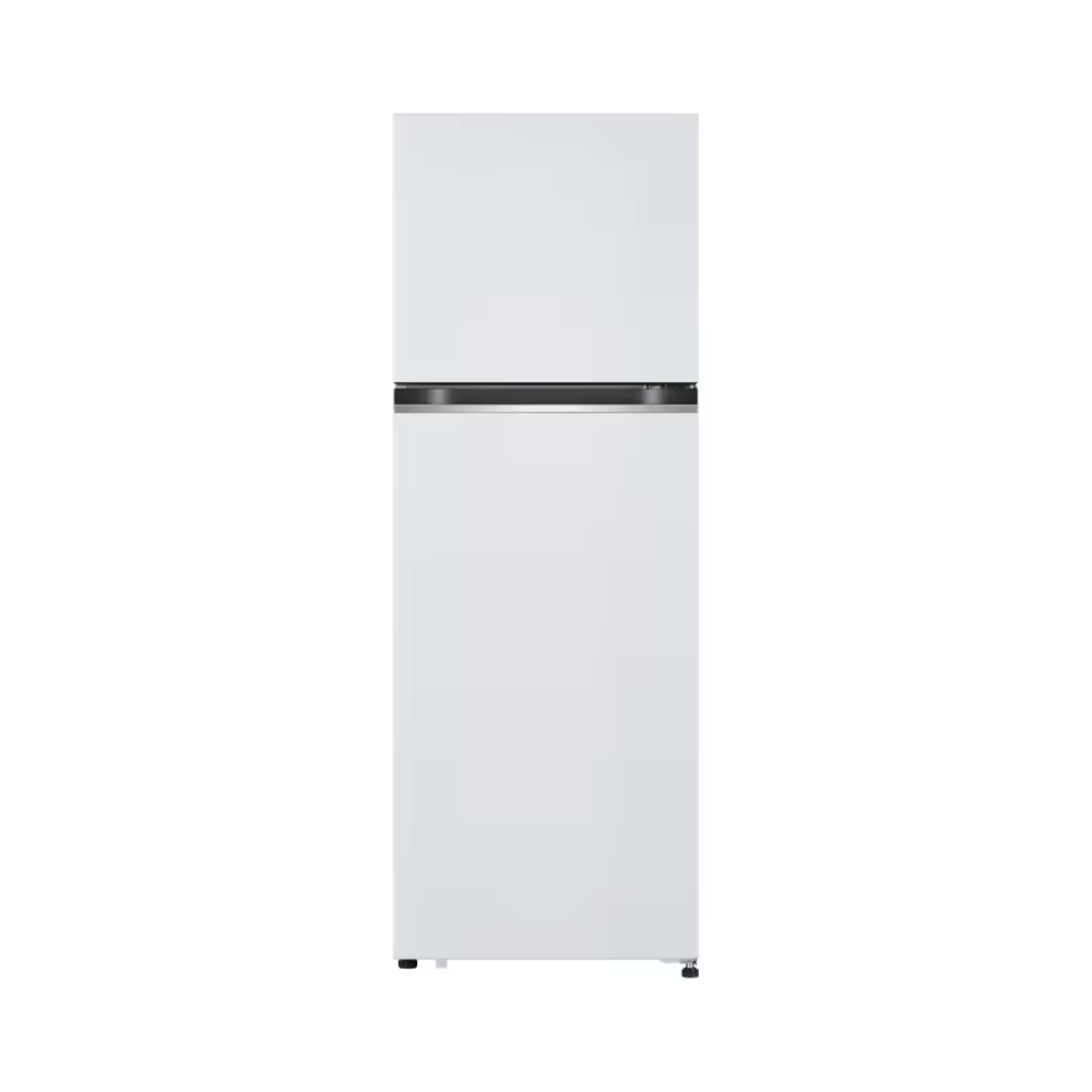 LG 일반냉장고 241L 2등급(B243W32)