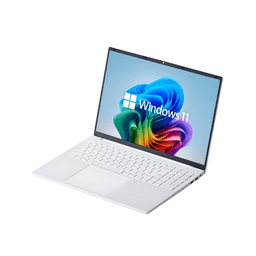 베이직스 2024 베이직북 16 N-시리즈 N95, White, 256GB, 8GB, WIN11 Pro, BB1624FW