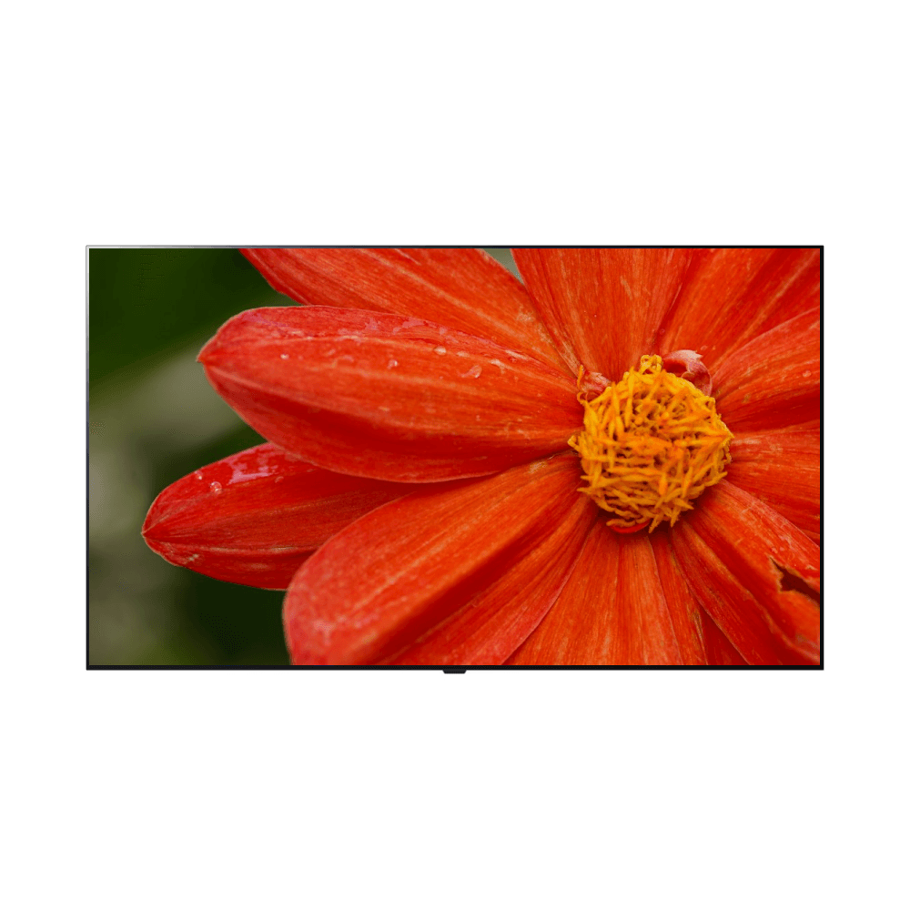 LG OLED 77인치(OLED77A3ENA)