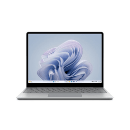 마이크로소프트 2023 Surface Laptop Go 3 12.4 코어i5 인텔 12세대, Platinum, 256GB, 8GB, WIN11 Home, XK1-00046
