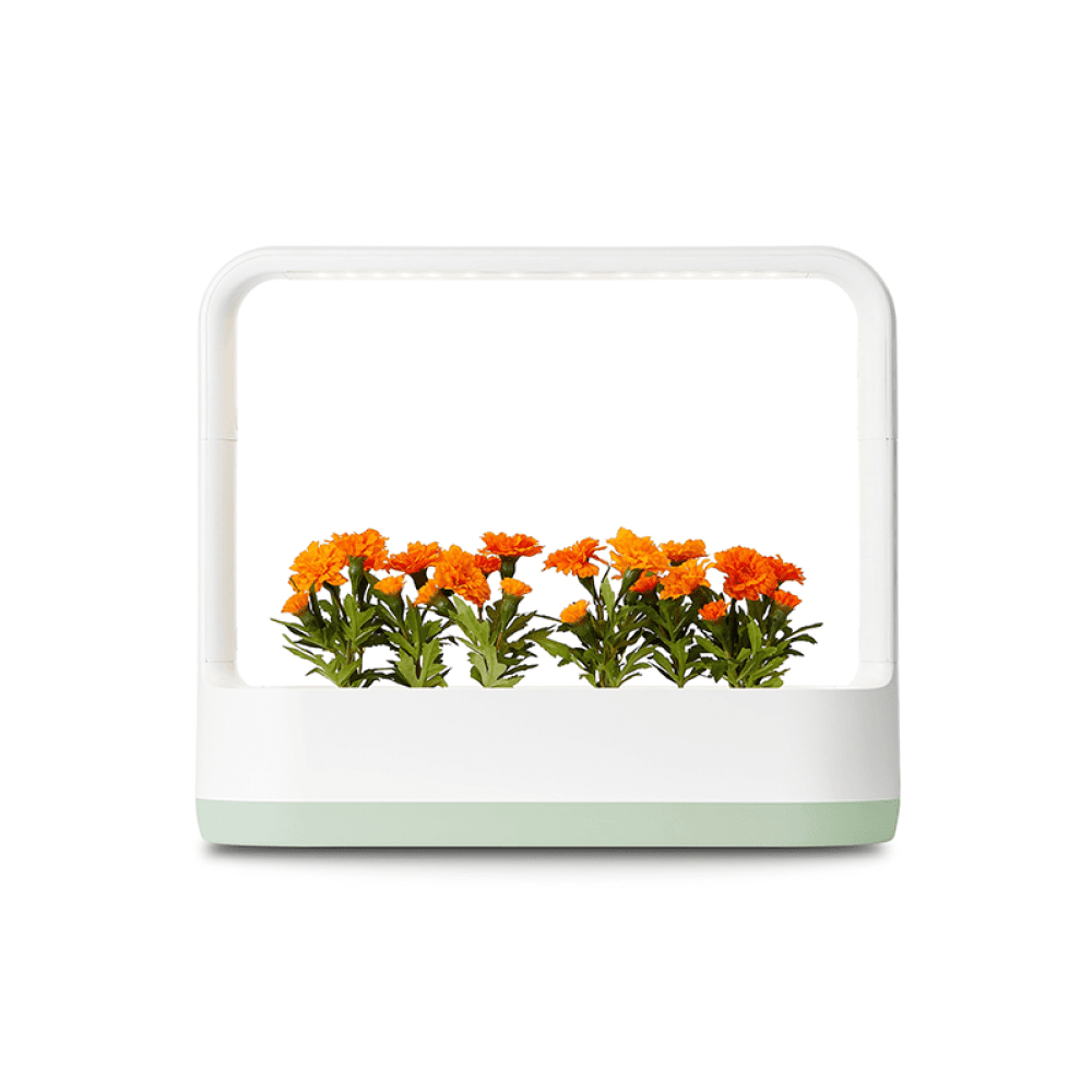 LG_식물재배기_틔운미니_L023M1P(L023M1P)