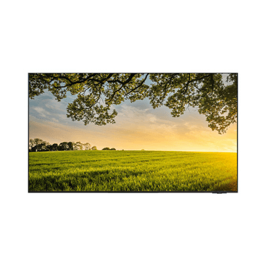 2024 OLED SD95 (195 cm)