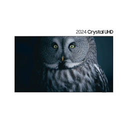 2024 Crystal UHD UD9000 (247 cm)(KU98UD9000FXKR)