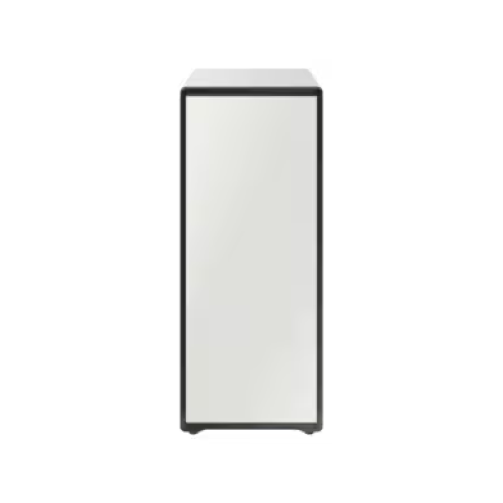 BESPOKE 슈드레서(DJ30B9300WE)