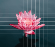 8K