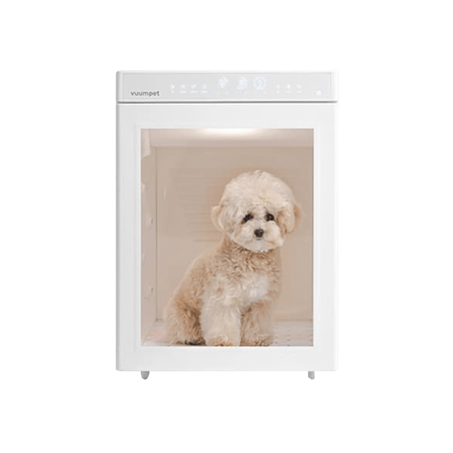 붐펫_펫드라이룸_단델리온